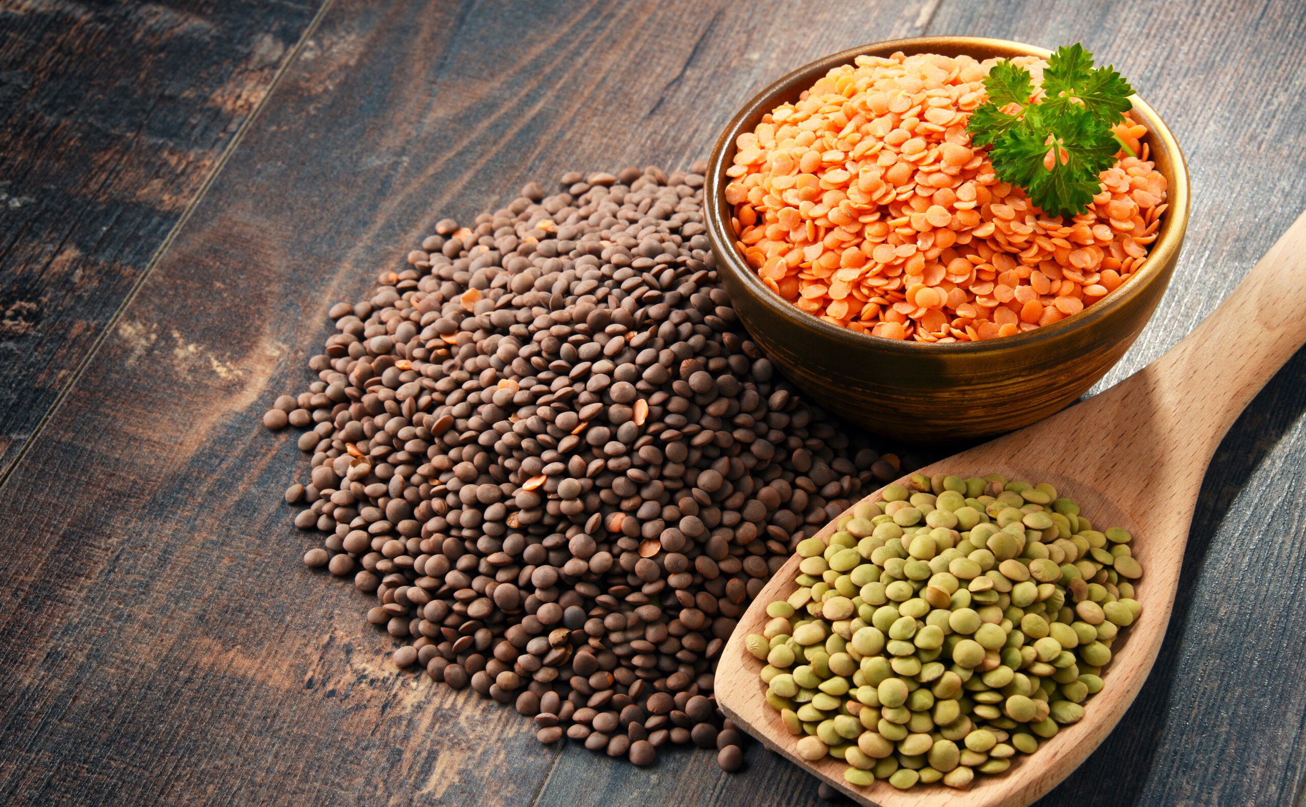 lentils protein
